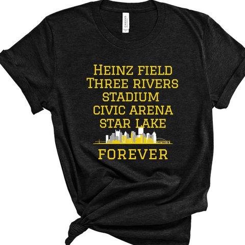 Heinz Field Forever